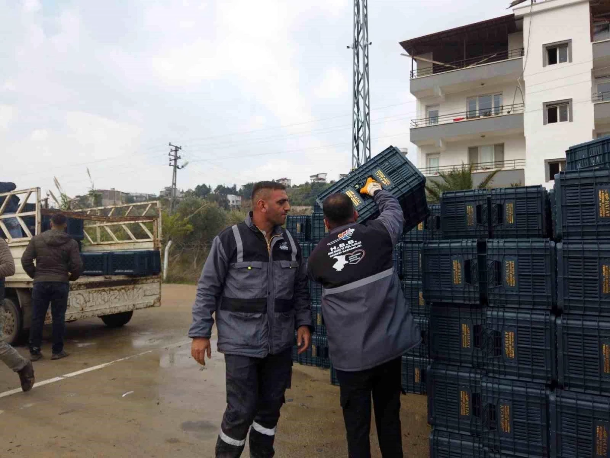 HBB’den, çiftçilere zeytin kasası