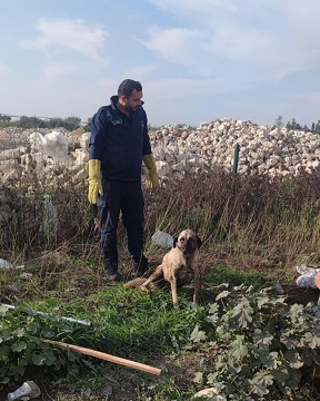 Önce kurtardılar sonra karnını doyurdular