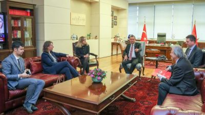 Cumhuriyet Halk Partisi Genel Başkanı Özgür Özel, Özgür Özel, Fransa’nın