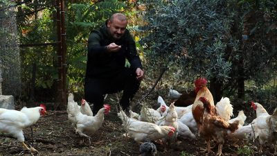 Hatay'da 50'den fazla tavuğu ortadan kaybolan İsmail Akyüz, çiftliğine taktırdığı