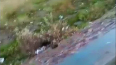 Hatay'ın Erzin ilçesinde bir kişi ve bir çocuk, kediyi ırmağa