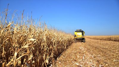 Tarım ve Orman Bakanı İbrahim Yumaklı, 3 milyar 495 milyon