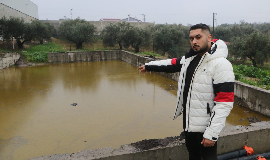 Hatay’ın Altınözü ilçesinde bulunan