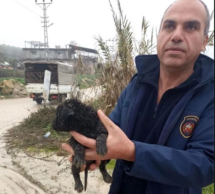 Hatay’ın Altınözü ilçesine bağlı