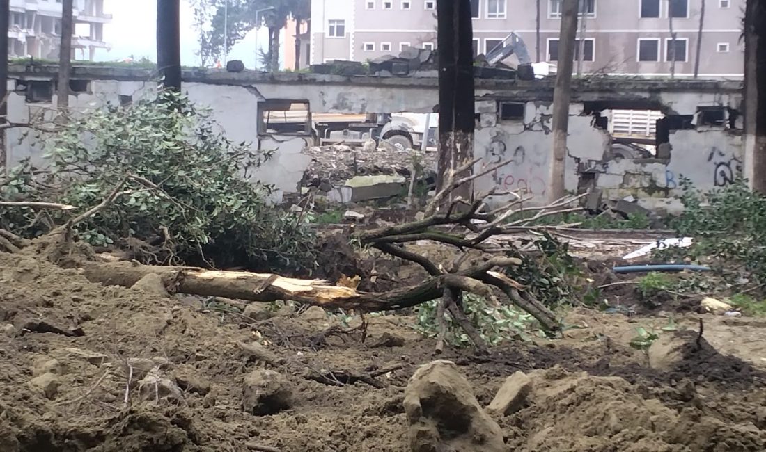 Antakya Çevre Koruma Derneği