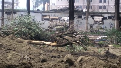 Antakya Çevre Koruma Derneği Başkanı Nilgün Karasu, Atatürk Parkı’nda gerçekleşen