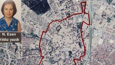 Yazan: N.Esen YILDIZ Emekli Başmüfettiş İç Denetim Birimi Başkanı I.BÖLÜM