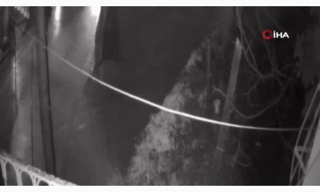 Hatay’da aşırı yağış sonrası mezarlık duvarının çökme anı güvenlik kamerasına