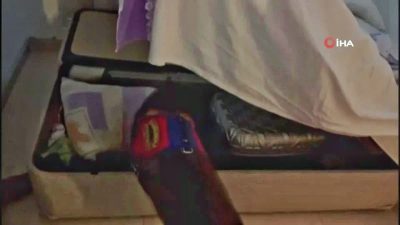 Hatay’da jandarma ekiplerinin gerçekleştirdiği operasyonda narkotik köpeği, bazanın içerisindeki valize