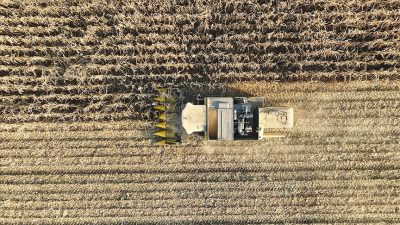 Türkiye İstatistik Kurumu (TÜİK), tarım politikalarının şekillenmesinde önemli bir rol