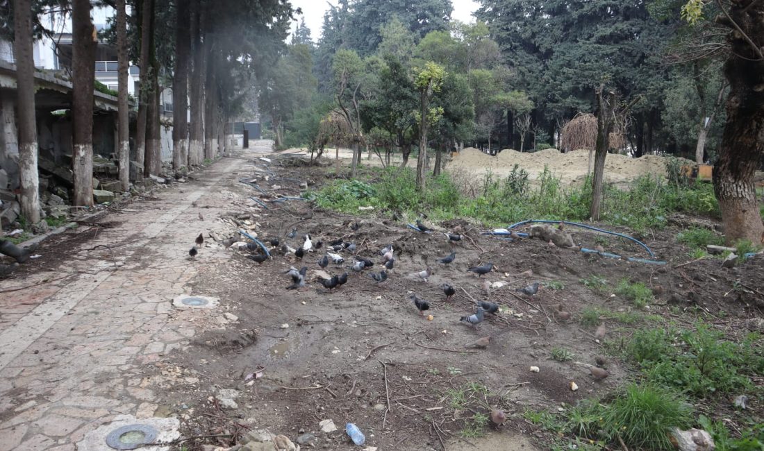 Hatay merkezde Atatürk Park’ında