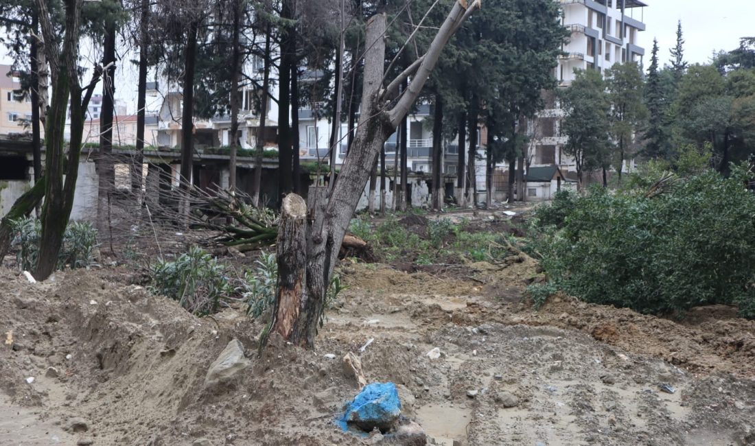 İddiaya göre Türkiye Tasarım Vakfına konteyner ofis yapılması amacıyla Antakya