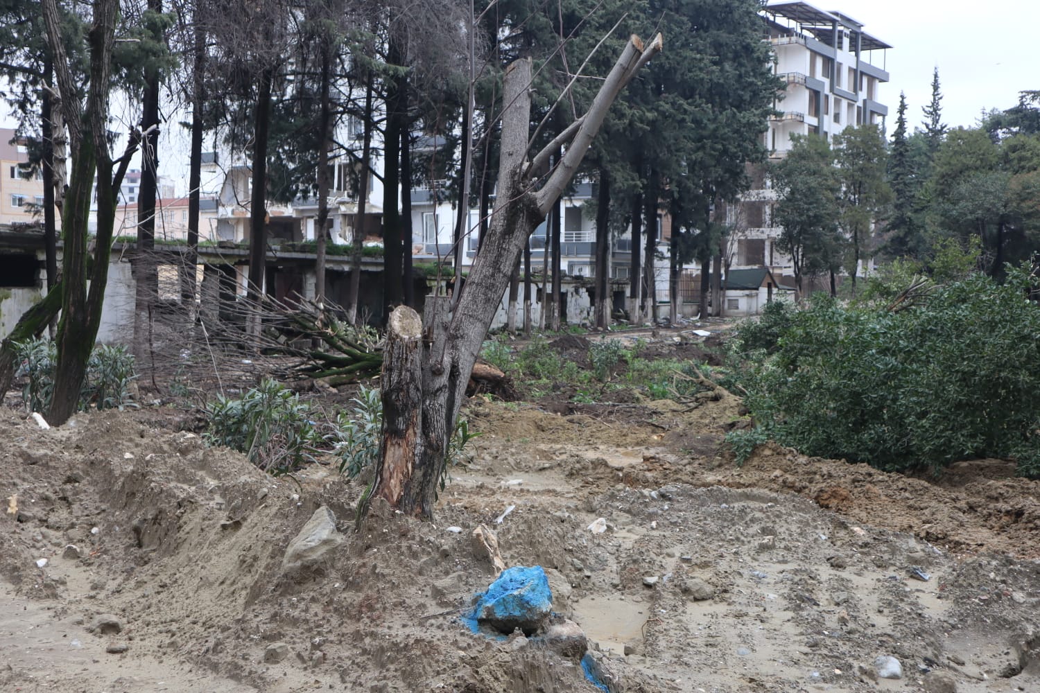 Atatürk Parkı’ndaki katliama cezai işlem