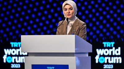 Aile ve Sosyal Hizmetler Bakanı Mahinur Özdemir Göktaş, Jeffrey Epstein