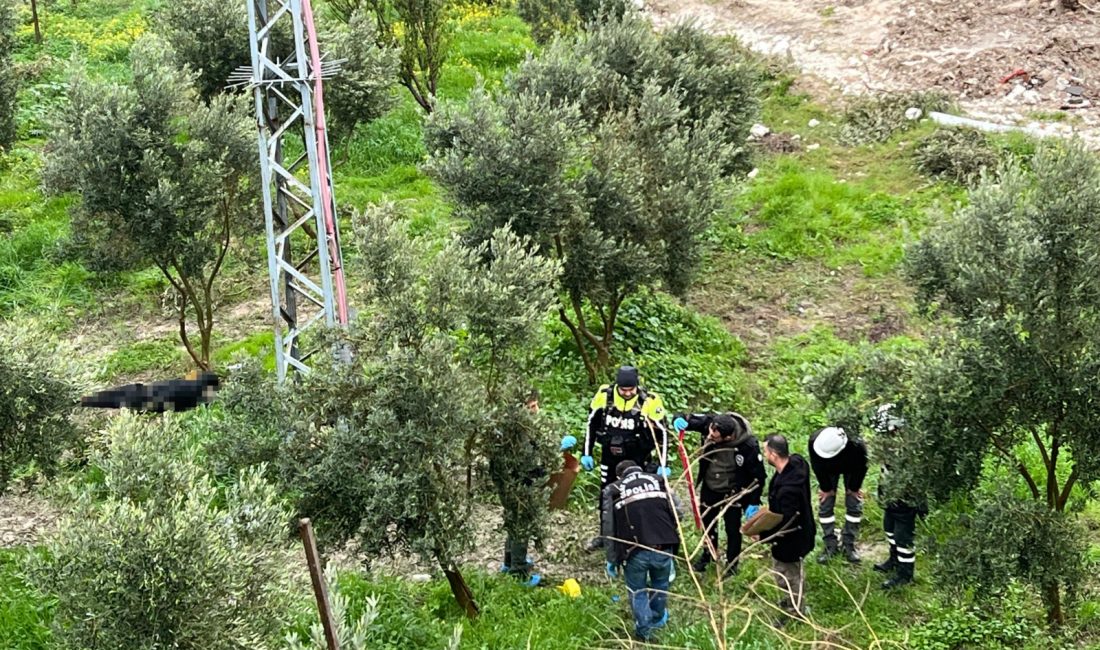 Hatay’ın Defne ilçesinde bir kişi zeytin bahçesinde ölü bulundu. Çekmece