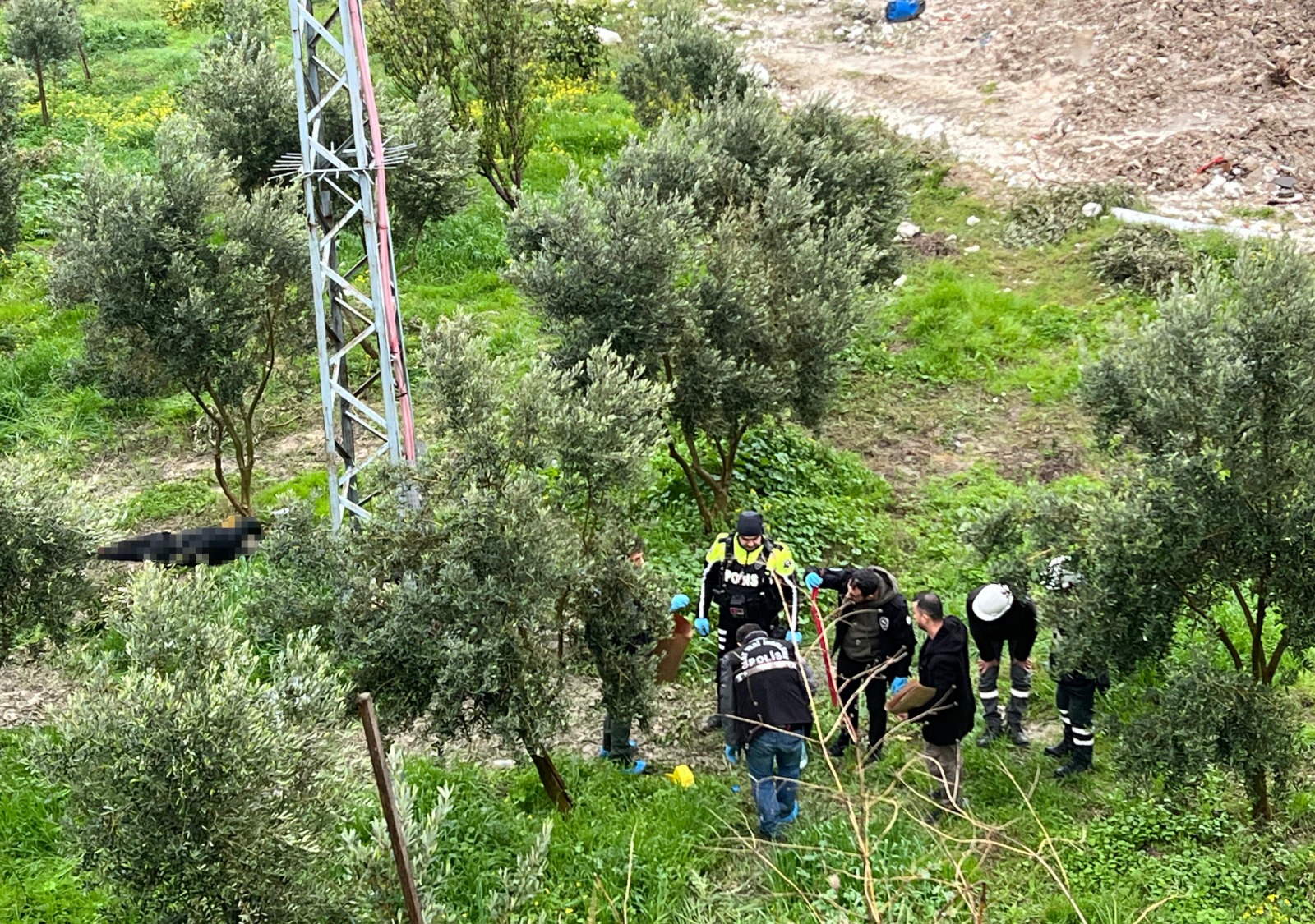 Defne’deki zeytinlikte ceset bulundu