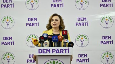 DEM Parti aday çıkaracağı yedi ili açıkladı. DEM Parti sözcüsü