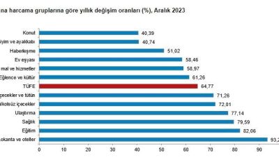 Türkiye İstatistik Kurumu milyonların maaşını etkileyecek enflasyon rakamlarını açıkladı. Ekonomistler