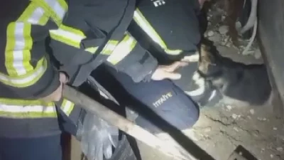 Hatay’ın Samandağ ilçesinde bulunan geçici yaşam alanında konteynerin altına sıkışan