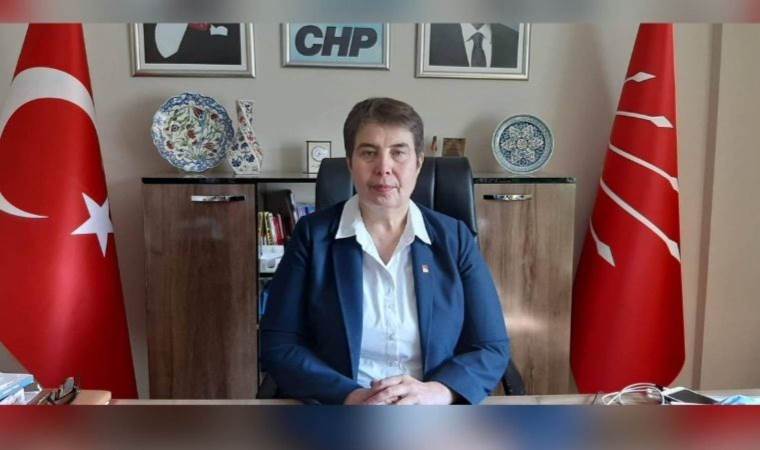 CHP Genel Başkan Yardımcısı