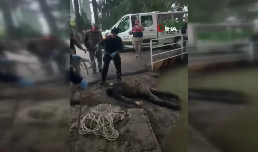 Hatay'ın Reyhanlı ilçesinde sulama kanalında erkek cesedi bulundu.