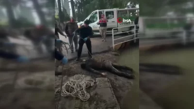 Hatay'ın Reyhanlı ilçesinde sulama kanalında erkek cesedi bulundu.