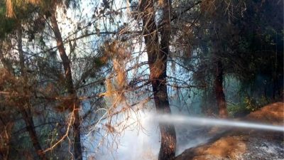 Hatay’ın Belen ve Arsuz ilçelerinde meydana gelen yangınlar, hızlı bir
