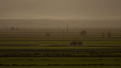 Tarım ve Orman Bakanı İbrahim Yumaklı, tarımsal üretimde ülkenin can