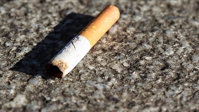 Türkiye Solunum Araştırmaları Derneği (TÜSAD) Tütün Çalışma Grubu Üyesi Prof.