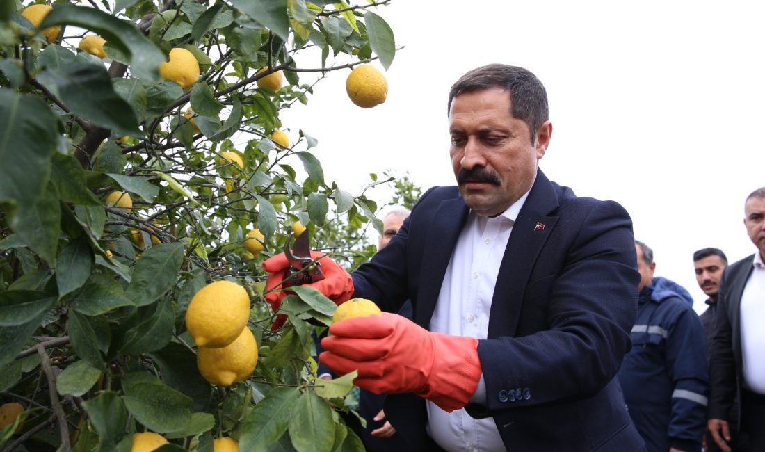 Hatay Valisi Mustafa Masatlı’nın