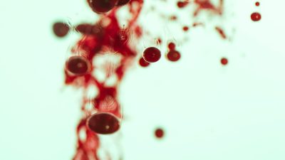 Kan yapan yiyecekler, vücudun sağlıklı bir hematopoetik sistem sürdürebilmesi için