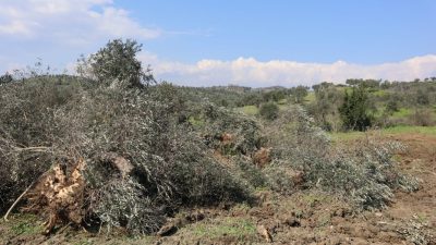 Gazetemiz ihbar hattına ve Antakya Çevre Koruma Derneği’ne gelen bir