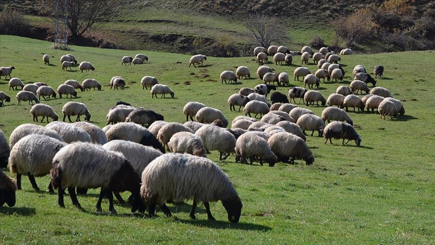 Tarım ve Orman Bakanlığı