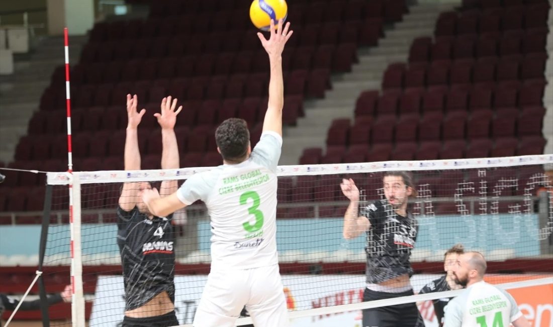 Voleybol AXA Sigorta Efeler