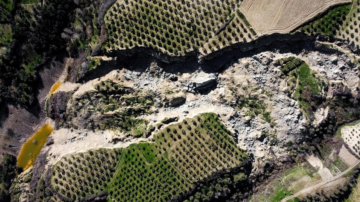 Zeytinlik alan deprem felaketinin izlerini taşıyor