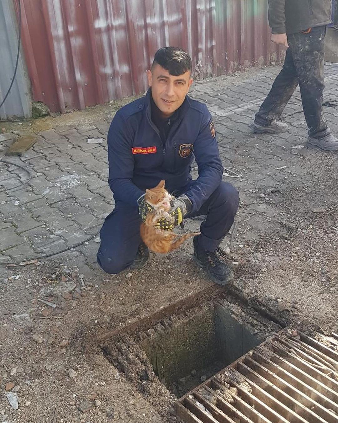 Hatay itfaiyesi bir kediyi daha kurtardı