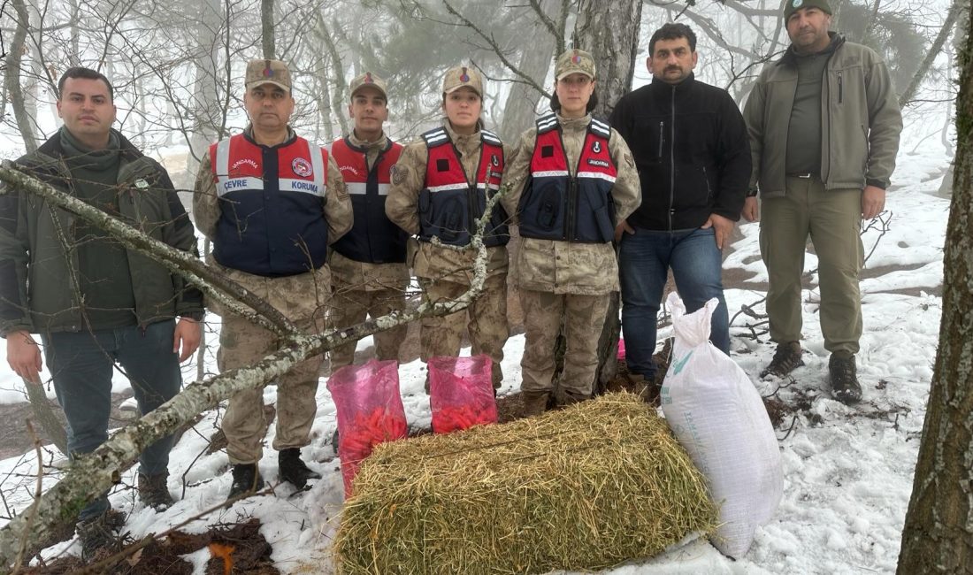 Hatay İl Jandarma Komutanlığı