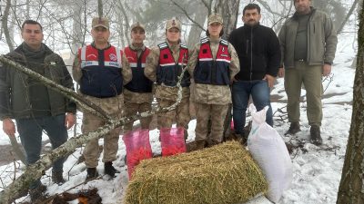 Hatay İl Jandarma Komutanlığı ve çeşitli ilgili kurumlar, kırsal alanlarda