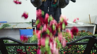 Türkiye’den 14 Şubat Sevgililer Günü dolayısıyla ağırlıklı Avrupa olmak üzere
