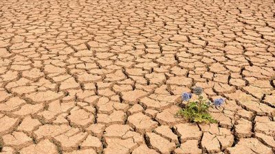 Avrupa Birliği’nin (AB) İklim Servisi, küresel ısınmanın ilk kez bütün