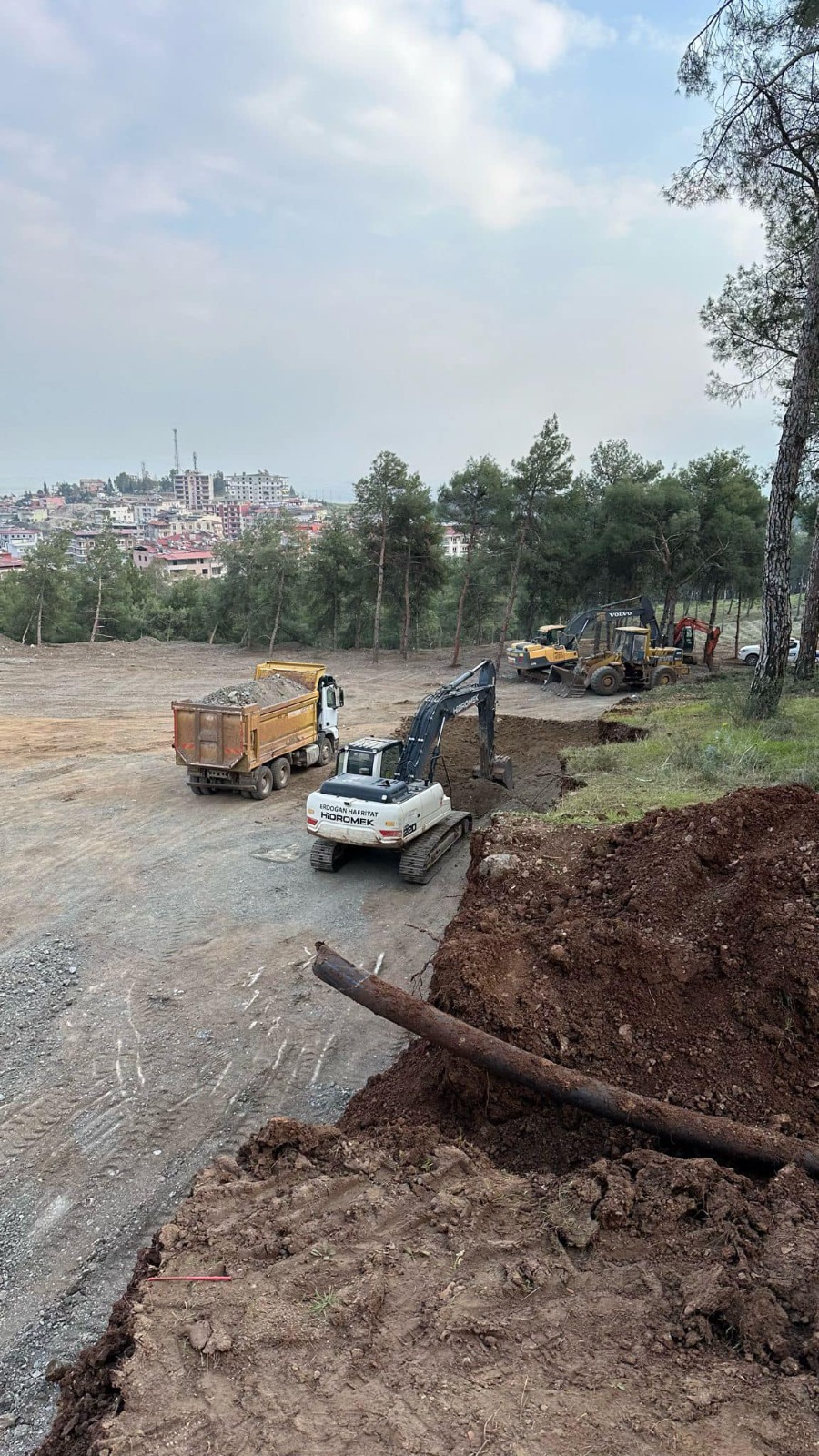 Kırıkhan Kent Ormanı’nda ağaç katliamı!