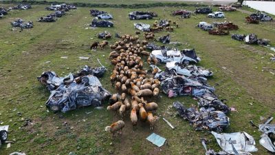 Depremin vurduğu Hatay’da enkazdan çıkarılarak muhafaza altına alınan araçların büyük
