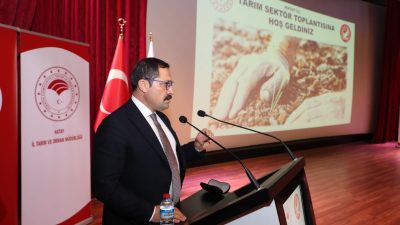 Hatay Valisi Mustafa Masatlı, Mustafa Kemal Üniversitesi (MKÜ) Rektörü Veysel