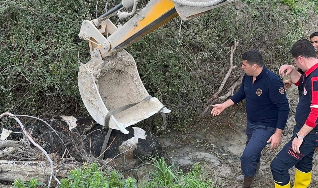 Hatay’ın merkez Antakya ilçesinde,