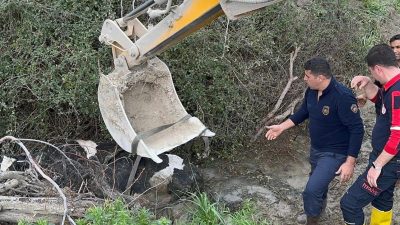 Hatay’ın merkez Antakya ilçesinde, su kanalına düşen inek itfaiye ekiplerince