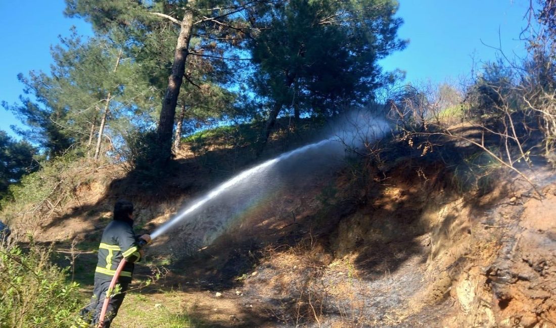 Orman yangınlarıyla ünlenen Hatay'ın