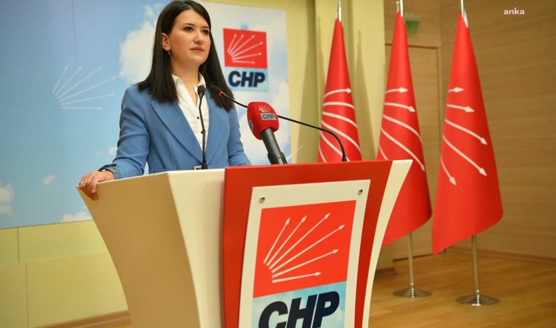 CHP Genel Başkan Yardımcısı