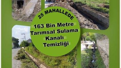 Hatay Büyükşehir Belediyesi Park Bahçe ve Yeşil Alanlar Daire Başkanlığı