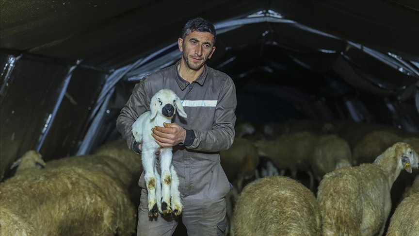 Kahramanmaraş merkezli geçen yıl