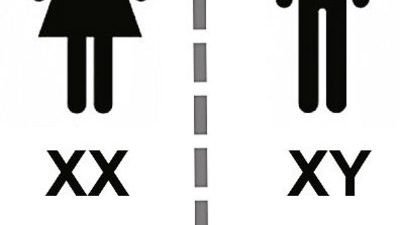 Bilimsel araştırmalar Erkek cinsiyetinin belirleyicisi olan Y kromozomunun yıllar içinde